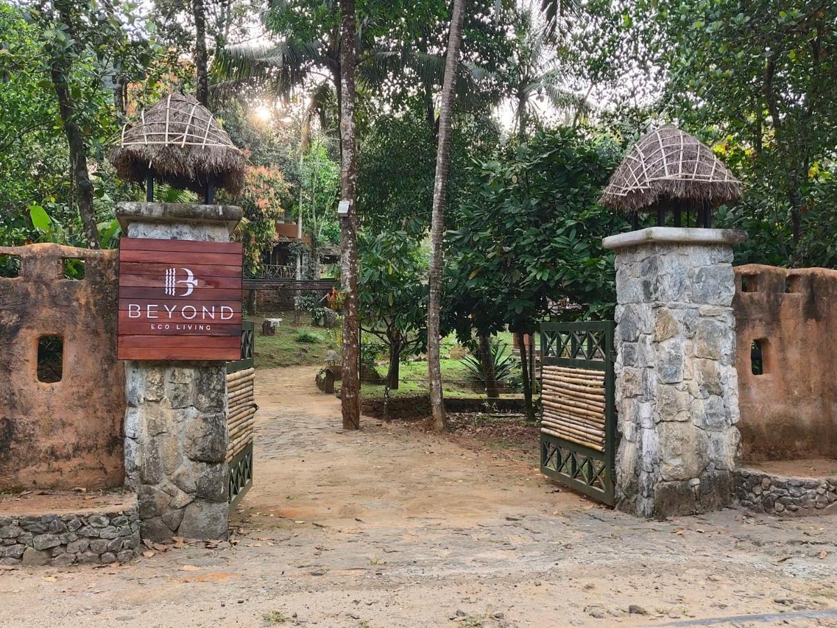 Beyond Eco Living Homestay *