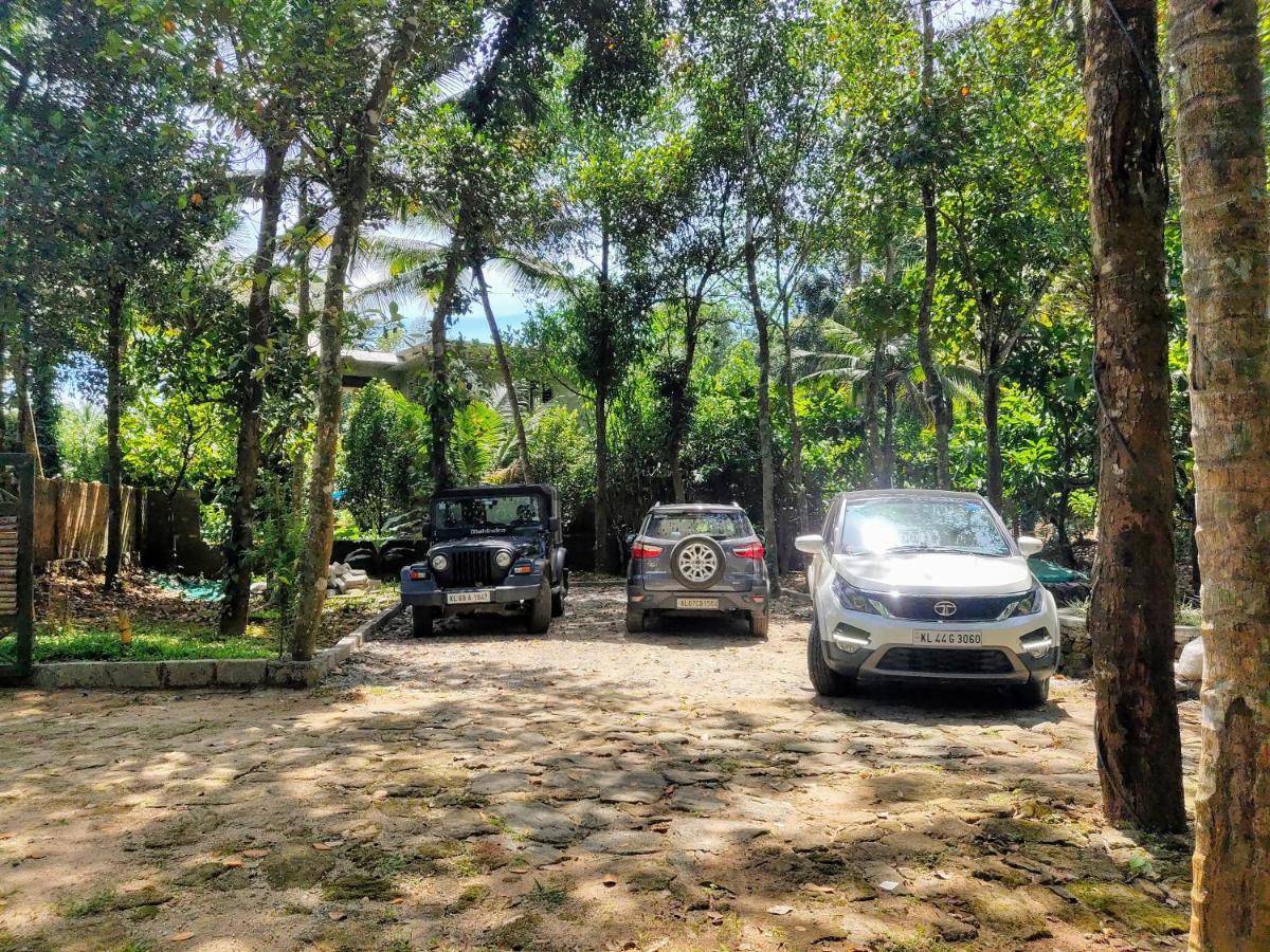 Beyond Eco Living *