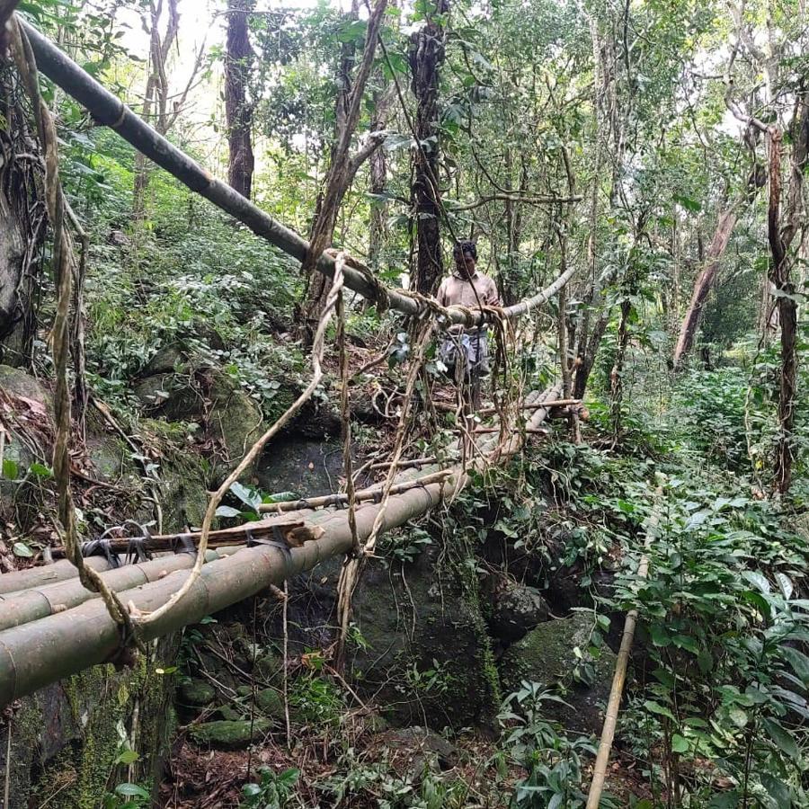 Beyond Eco Living Homestay *