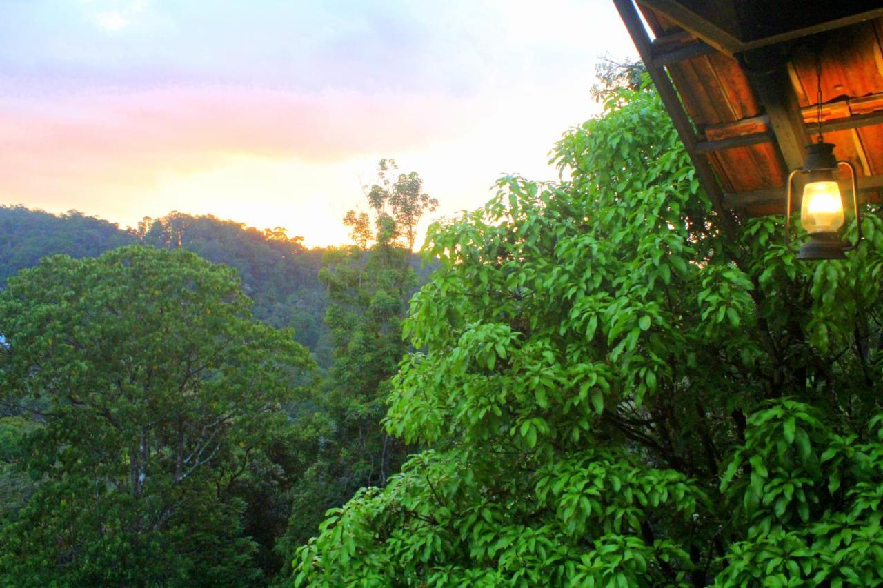 The Wild Trails Clarks Exotica , * Munnar
