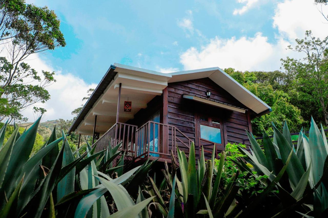 Resort Wild Orchid Eco Tourism Munnar