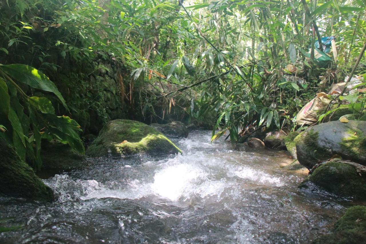 Nature Routes *