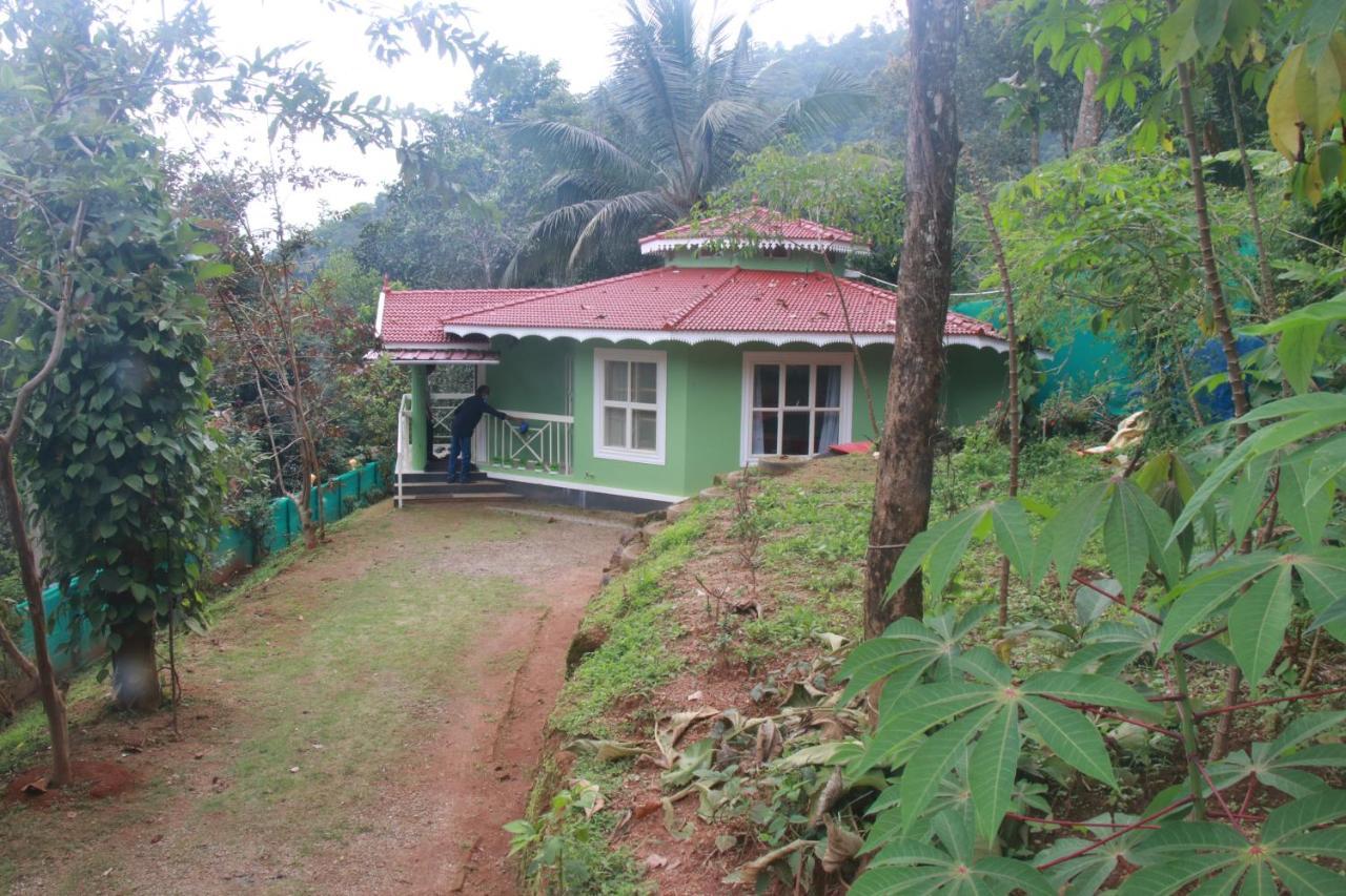 Nature Routes * Munnar