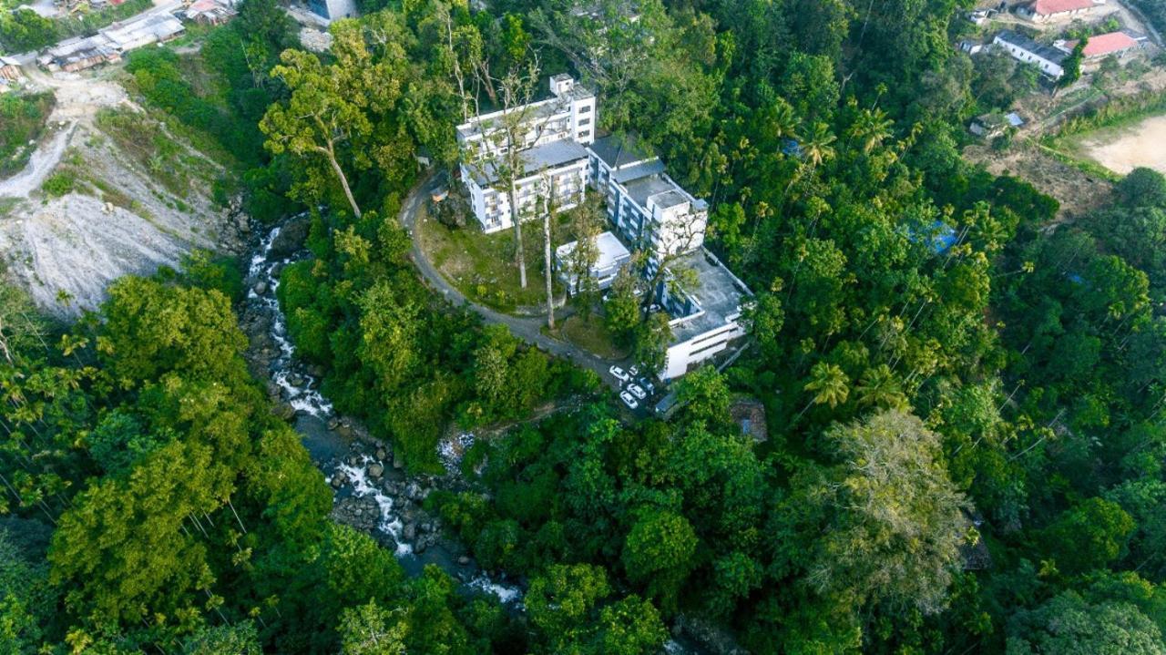 Hotel Black Forest 4*