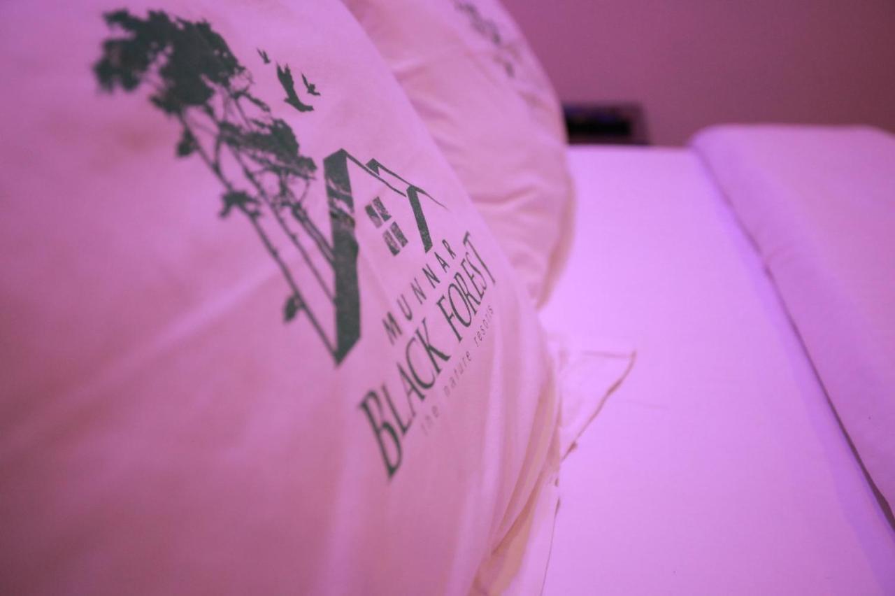 Hotel Black Forest 4*