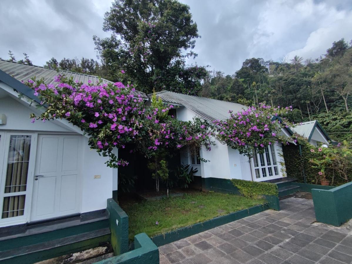 Resort Tea Hills - Mthr 4*