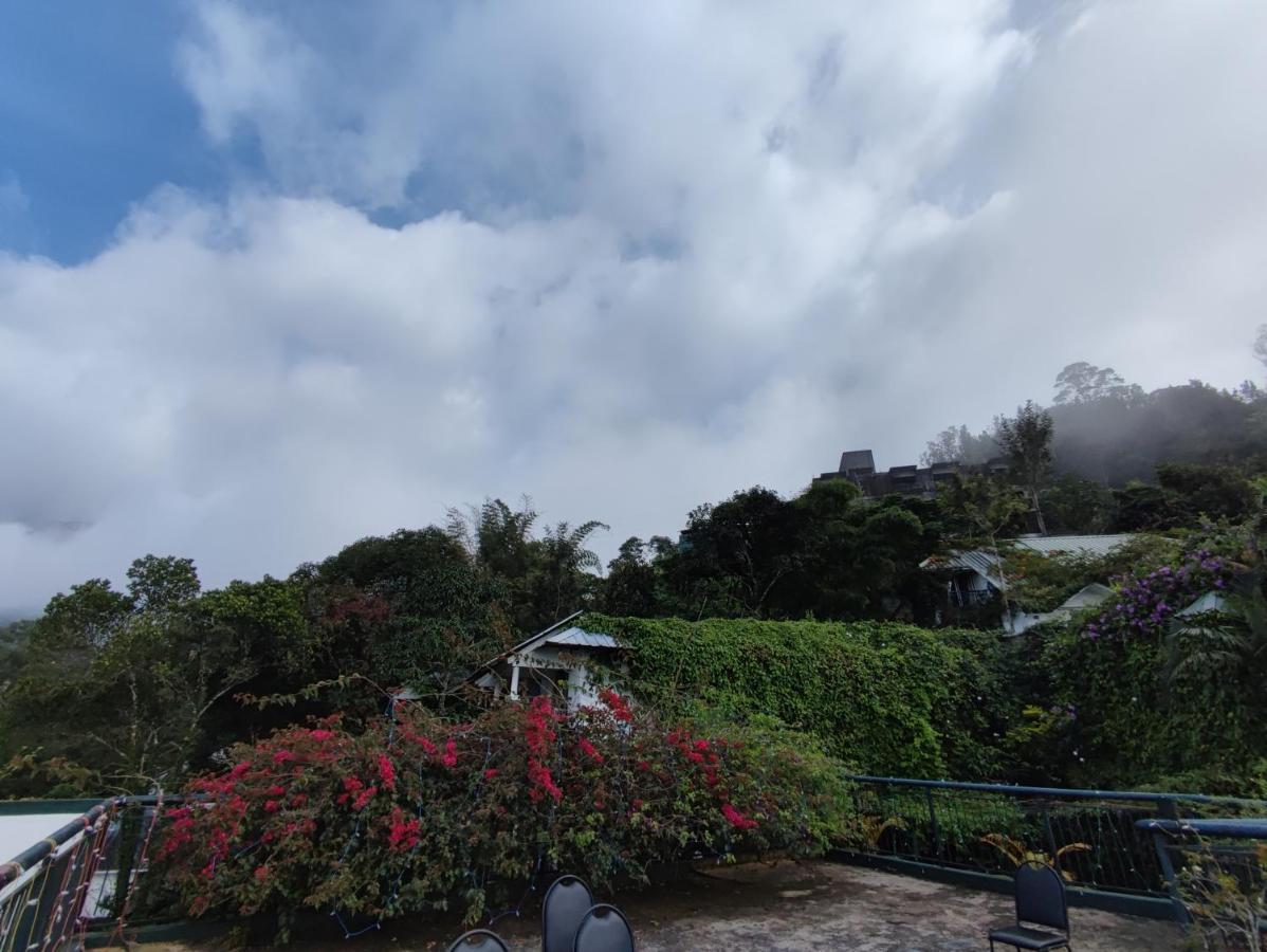 Tea Hills - Mthr 4*