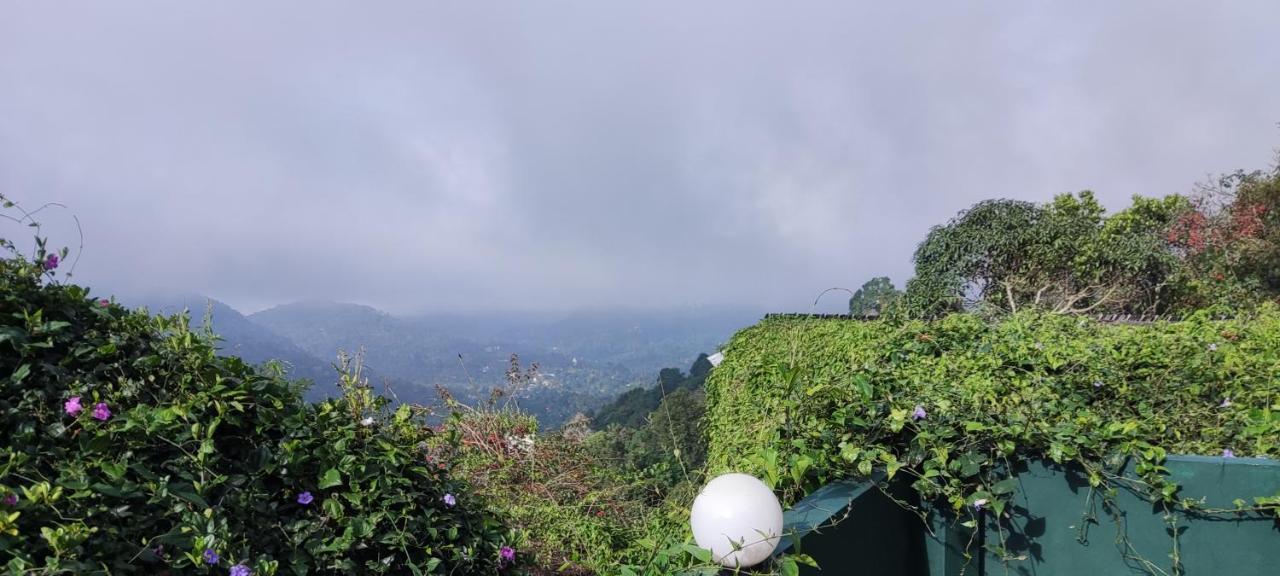 Resort Tea Hills - Mthr