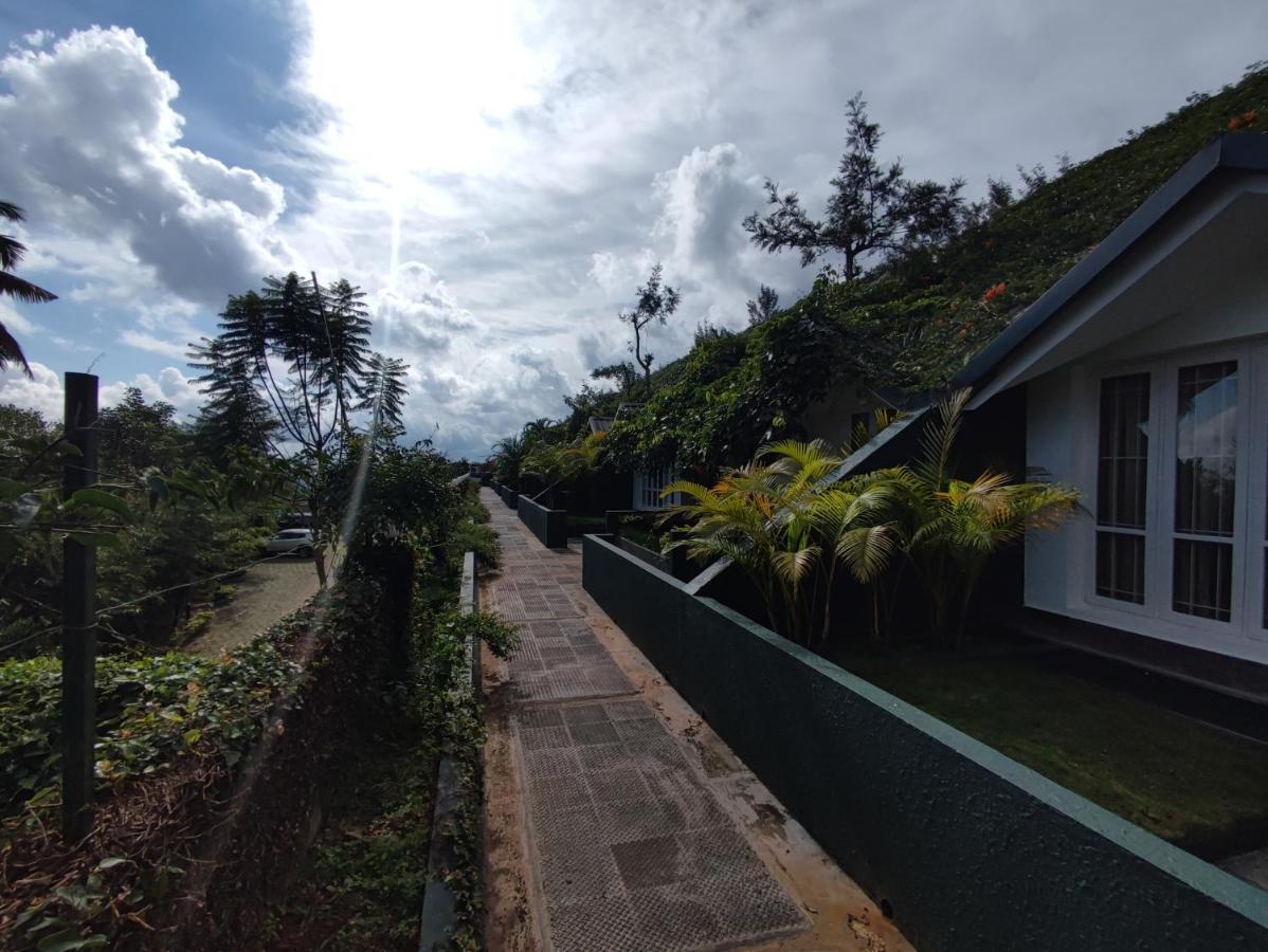 Tea Hills - Mthr