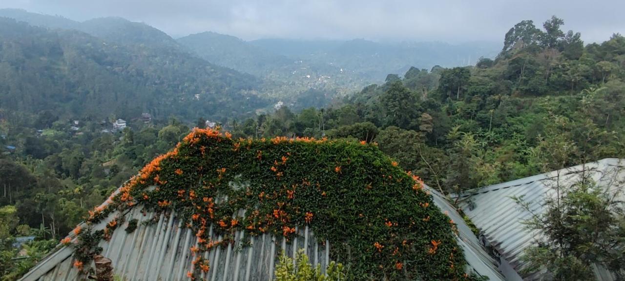Tea Hills - Mthr Resort 4*