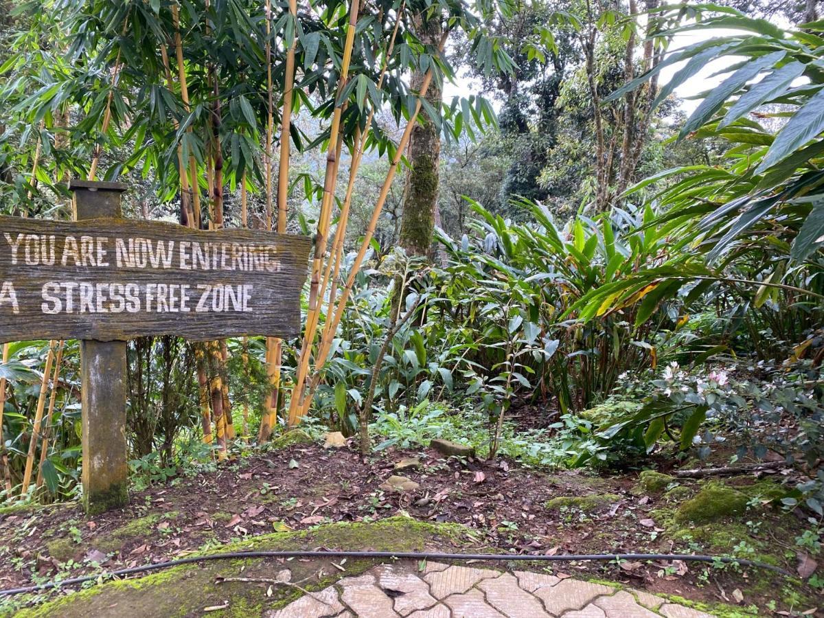 Farm stay 31st December Farms And Estates Munnar