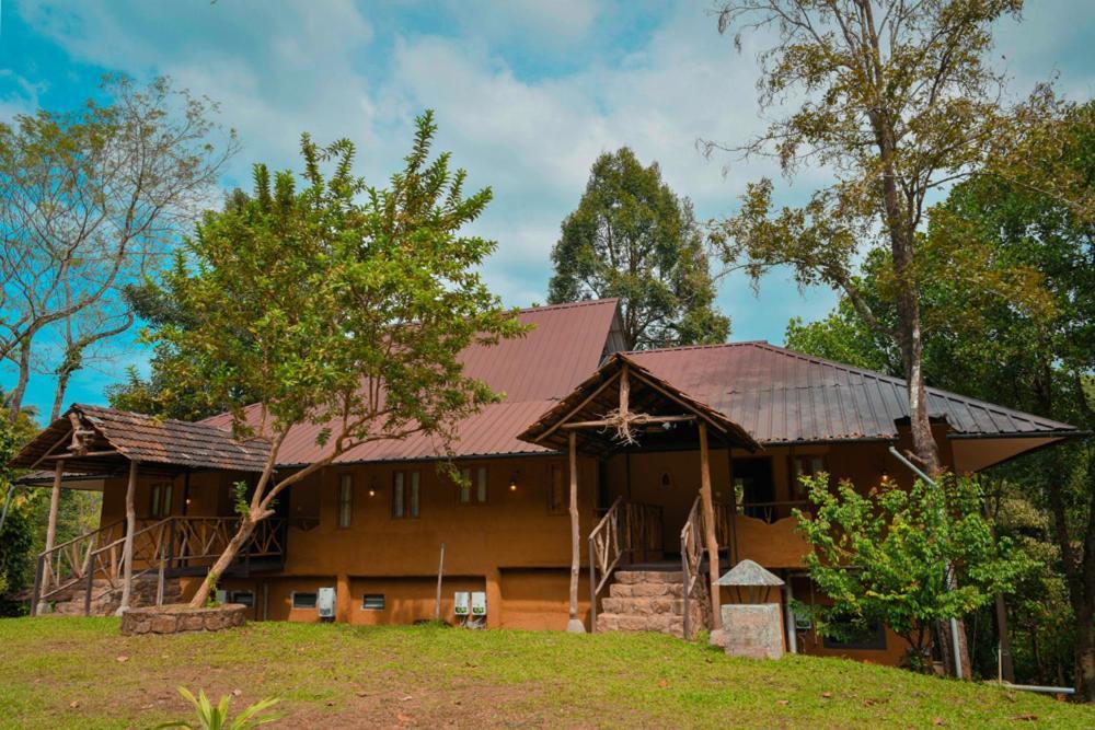 Beyond Eco Living Homestay