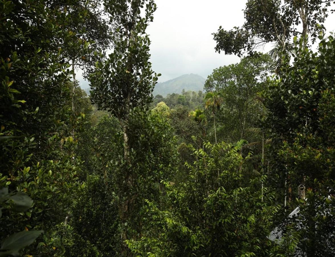 Mithra Holiday Cottages By Lexstays Holiday home Munnar