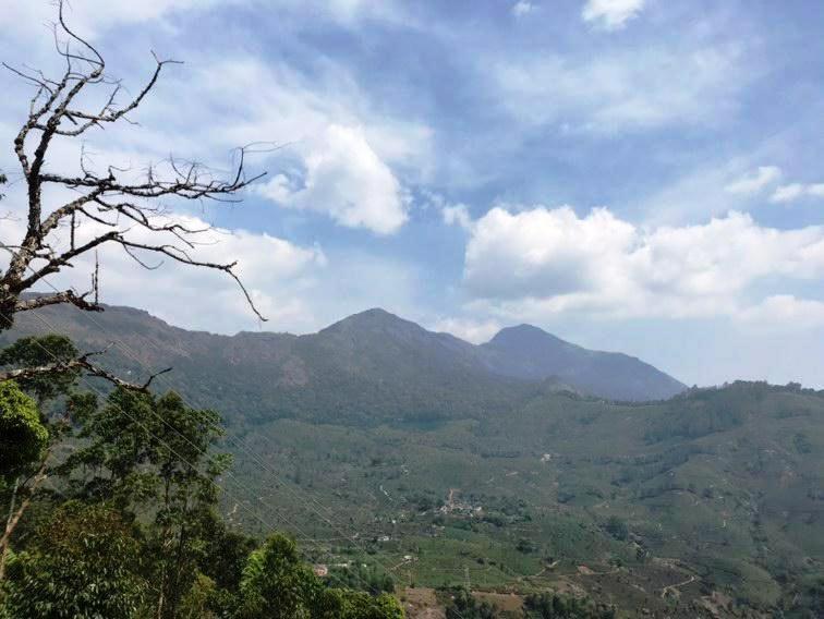 The Spot Inn * Munnar