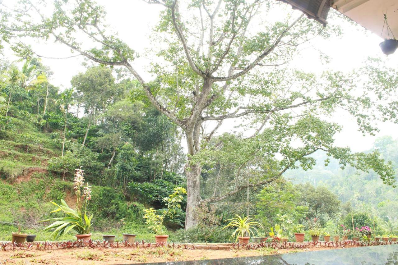 Guest house The Mountcourt *