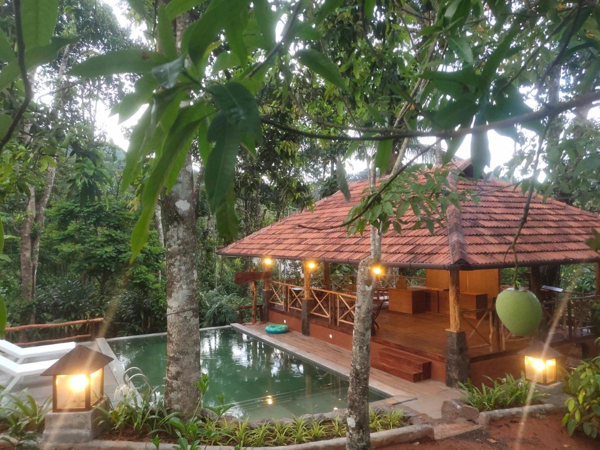 Homestay Beyond Eco Living *