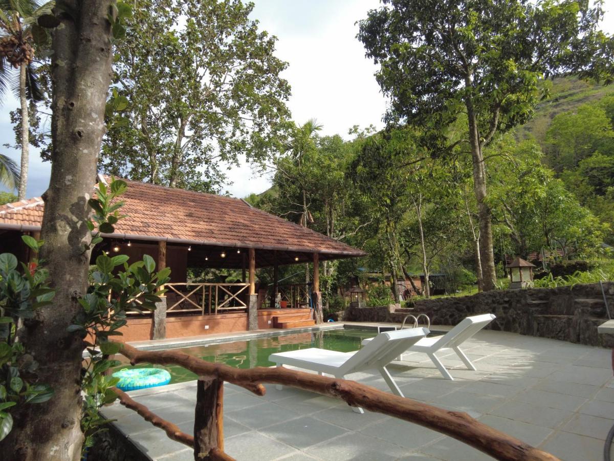 Beyond Eco Living *