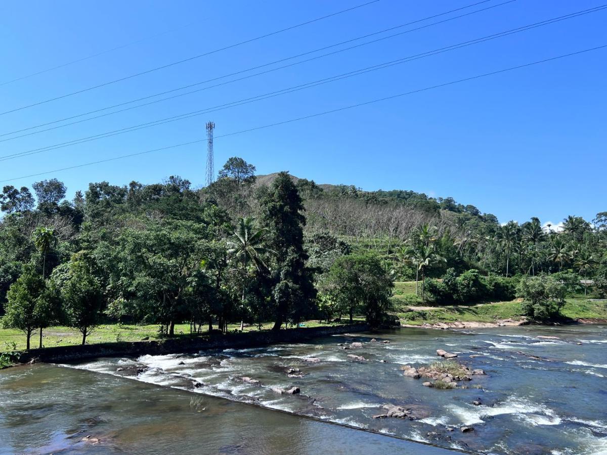 Beyond Eco Living Homestay *