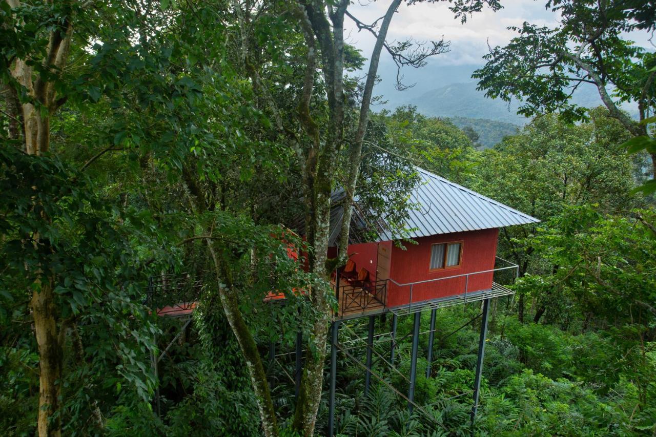 Resort Dream Catcher Plantation 4*