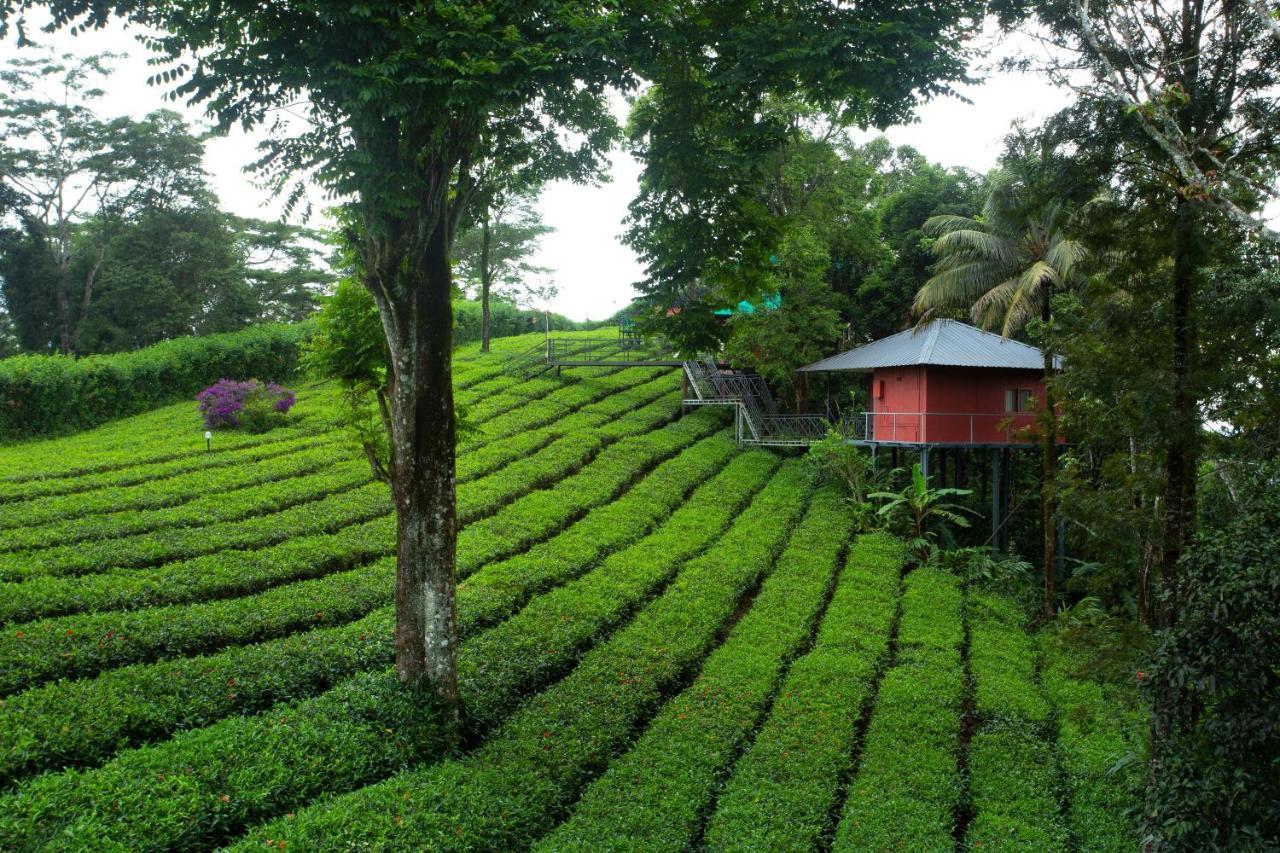 Resort Dream Catcher Plantation 4*