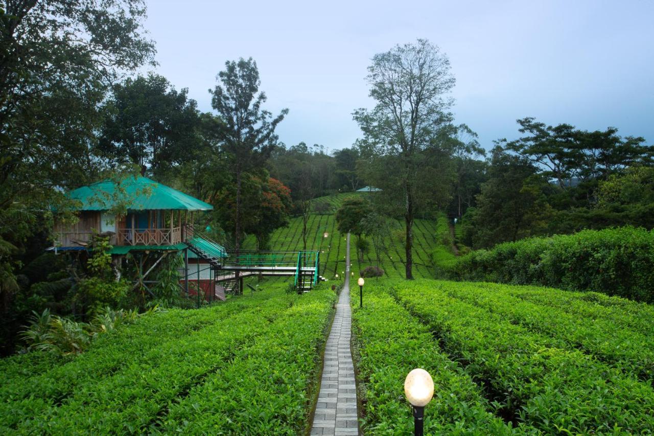 Dream Catcher Plantation Munnar
