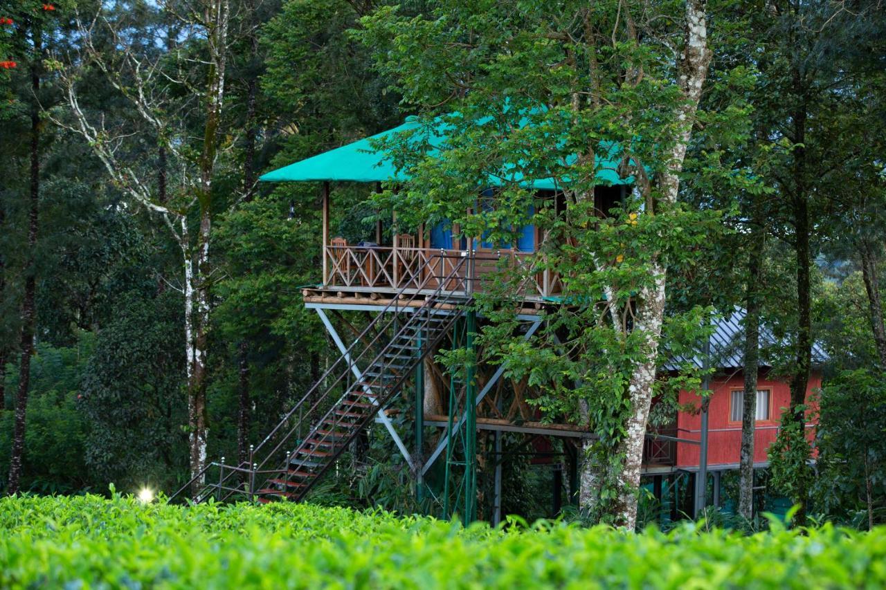 Dream Catcher Plantation 4*