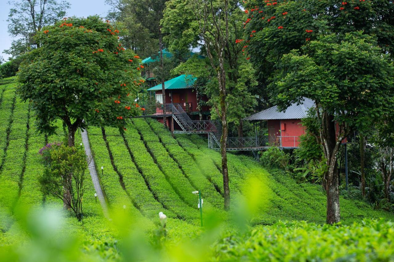 Resort Dream Catcher Plantation Munnar