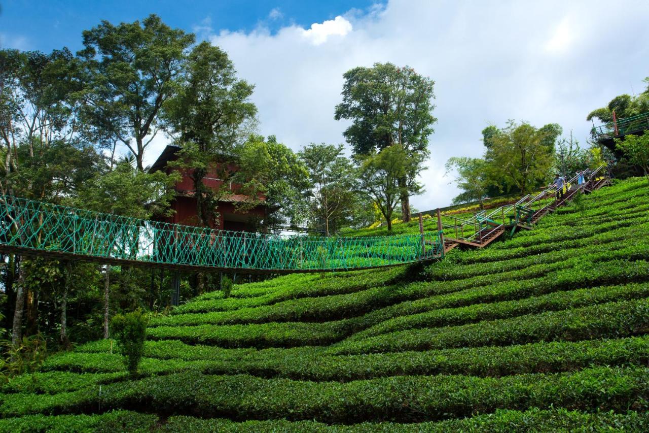 Dream Catcher Plantation Resort 4*