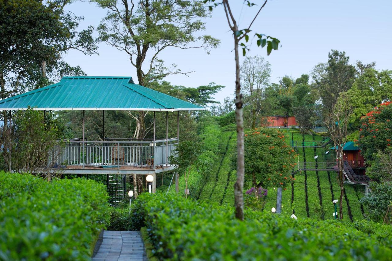 Resort Dream Catcher Plantation 4*