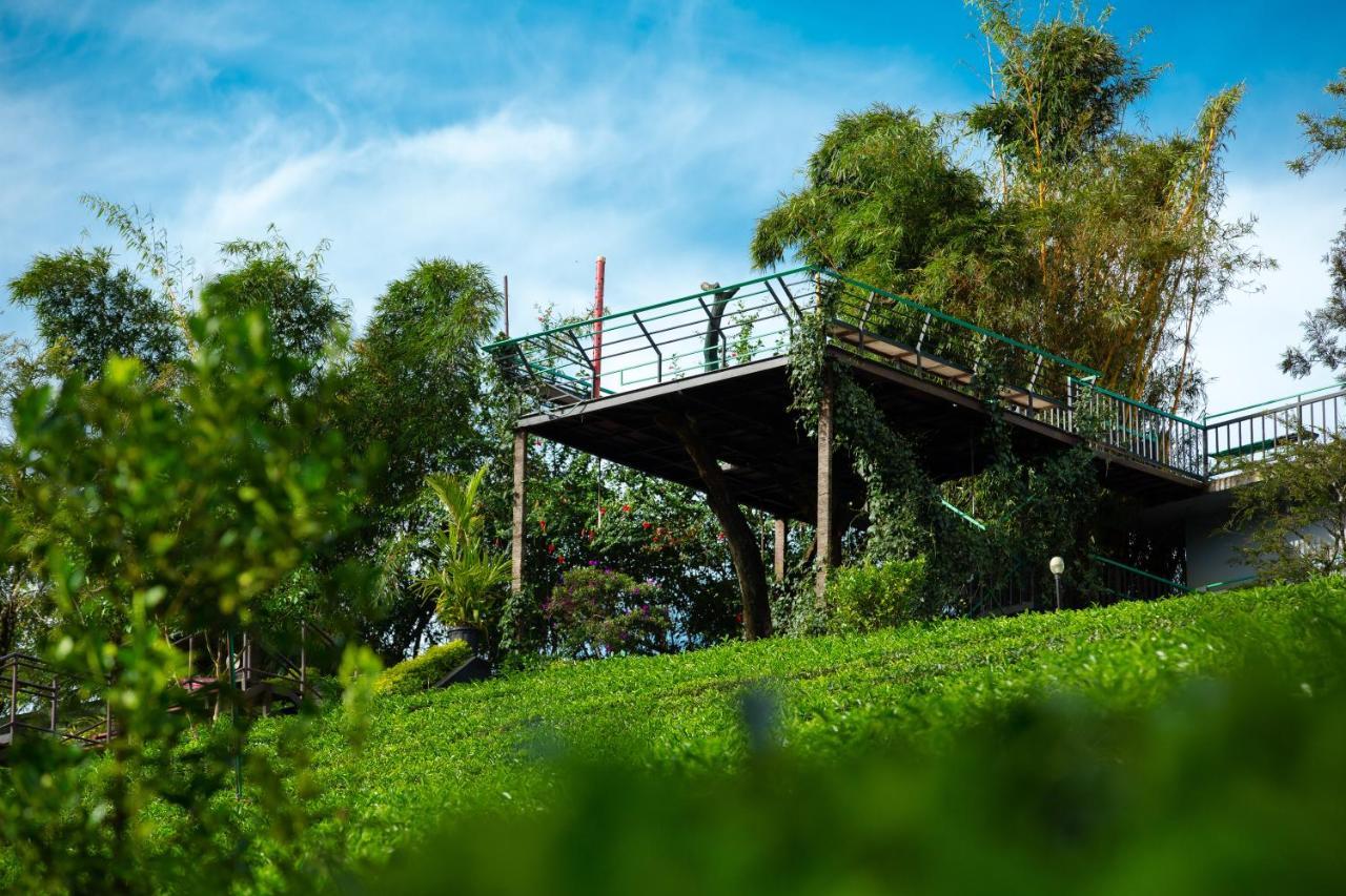 Resort Dream Catcher Plantation 4*