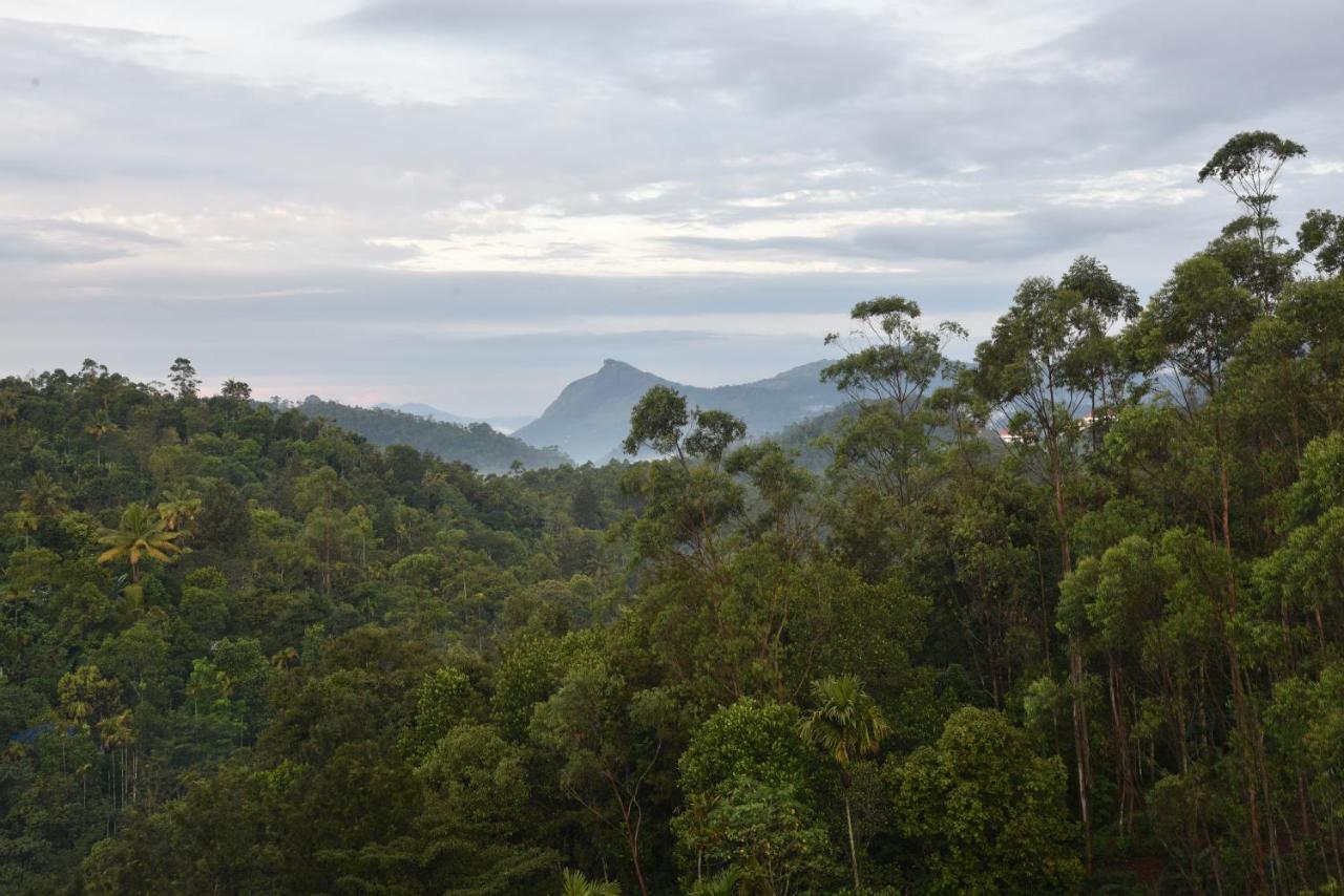 White House, 4* Munnar