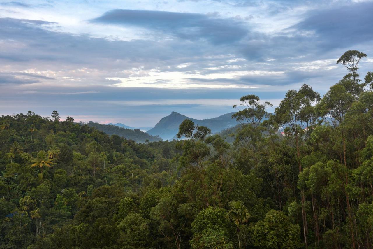 White House, Resort Munnar