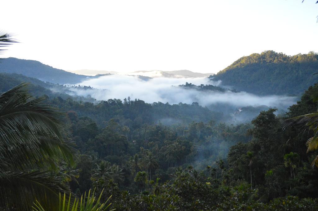 Homestay The Shade Munnar
