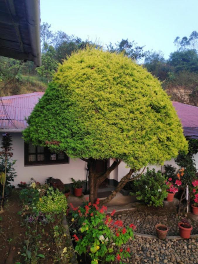Rheinberg Town Haus Guest house Munnar