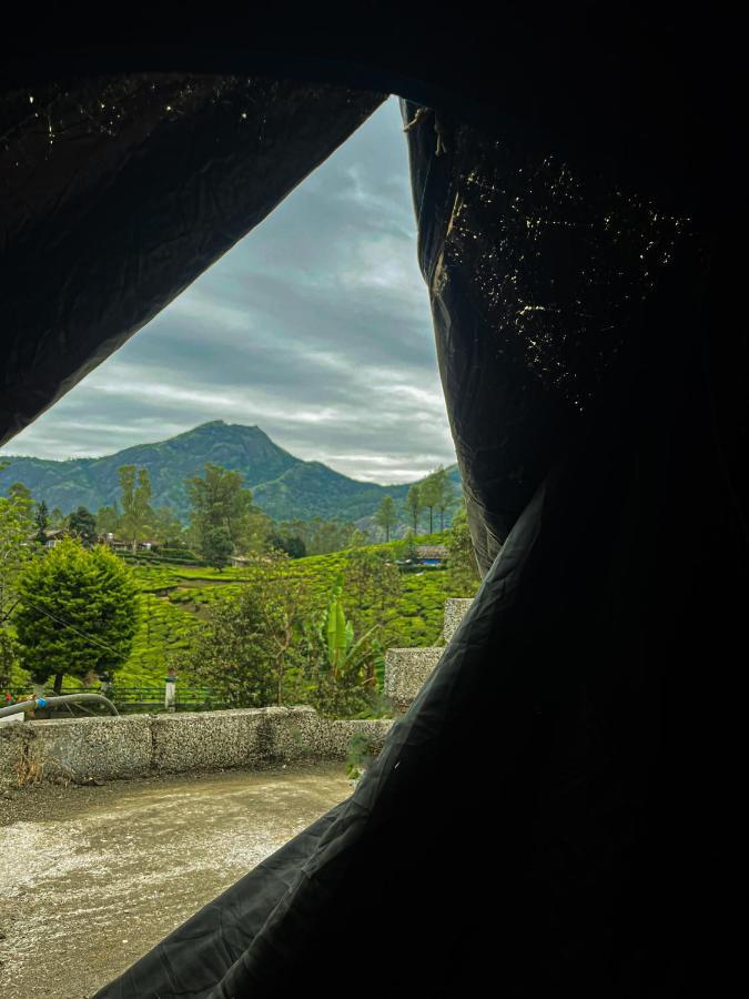 Homestay Glen Brook