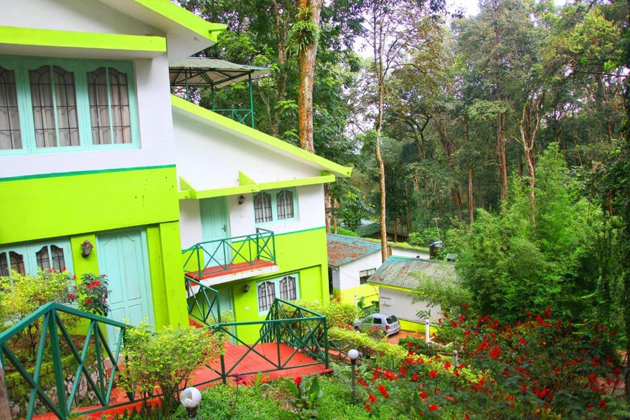 Single Tree Resort Munnar