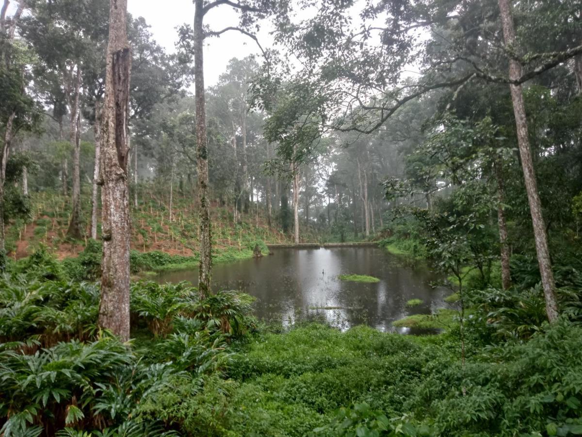 Resort Single Tree Munnar