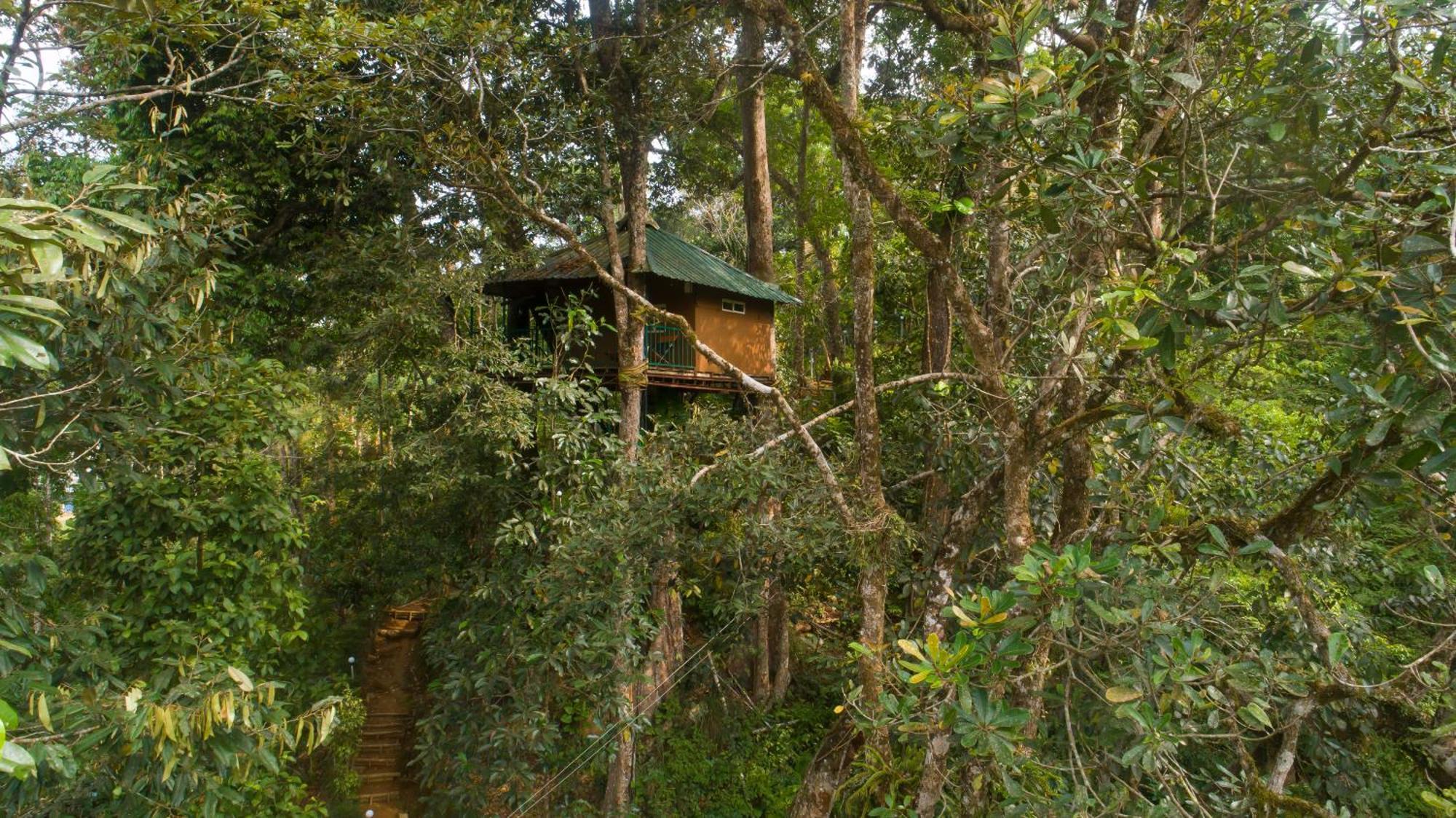 Ela Ecoland Nature Retreat Munnar