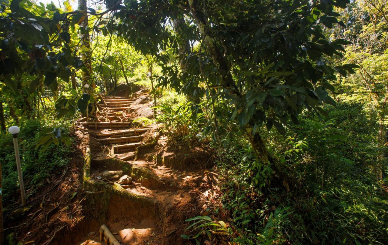Ela Ecoland Nature Retreat Munnar