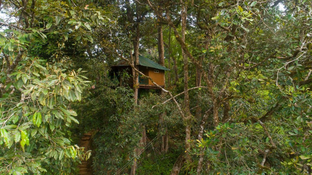 Ela Ecoland Nature Retreat Resort