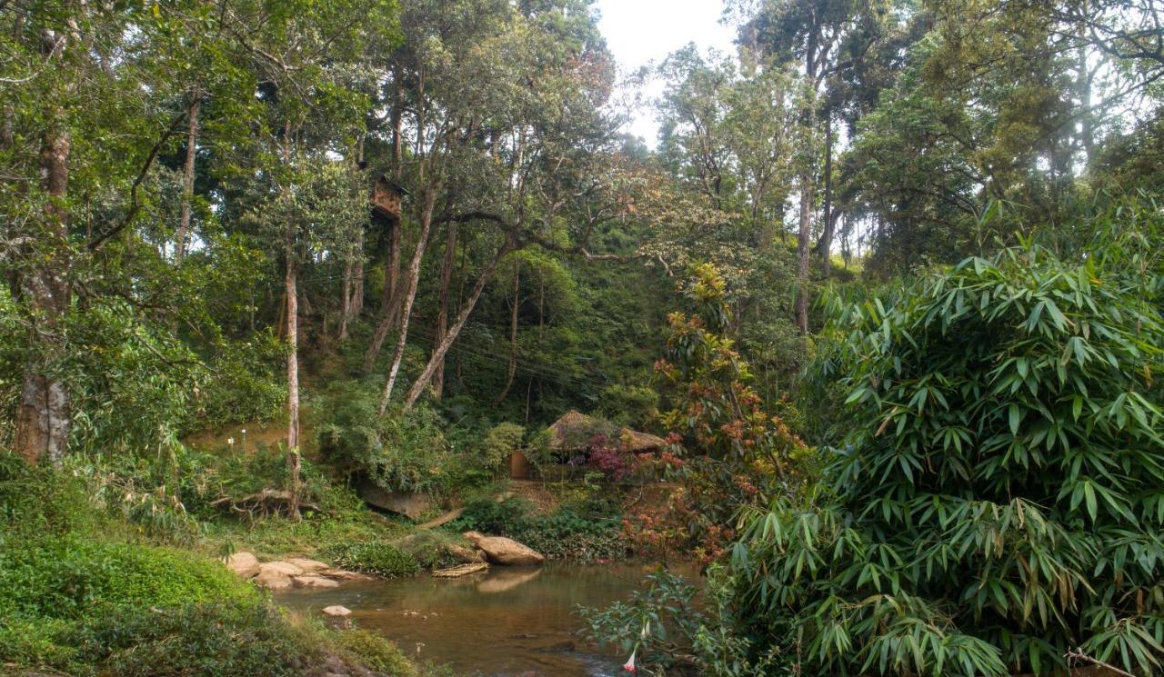 Resort Ela Ecoland Nature Retreat 3*
