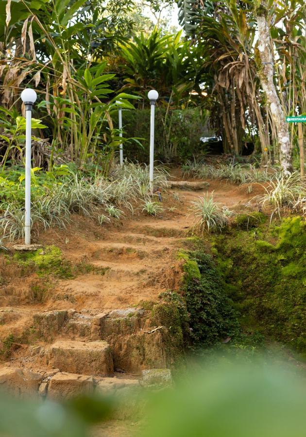 Ela Ecoland Nature Retreat Resort Munnar