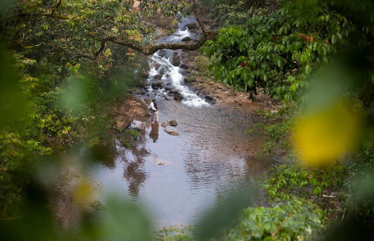 Ela Ecoland Nature Retreat 3* Munnar