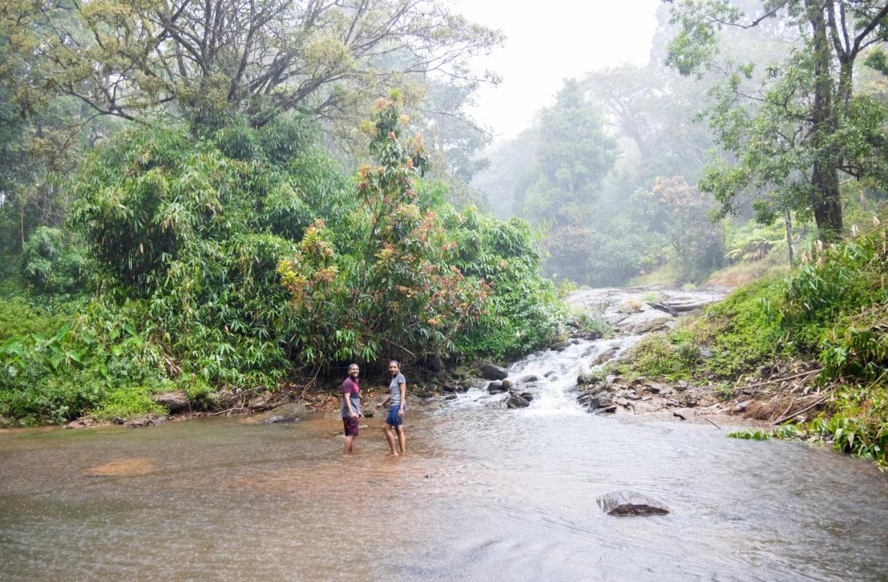 Ela Ecoland Nature Retreat 3*