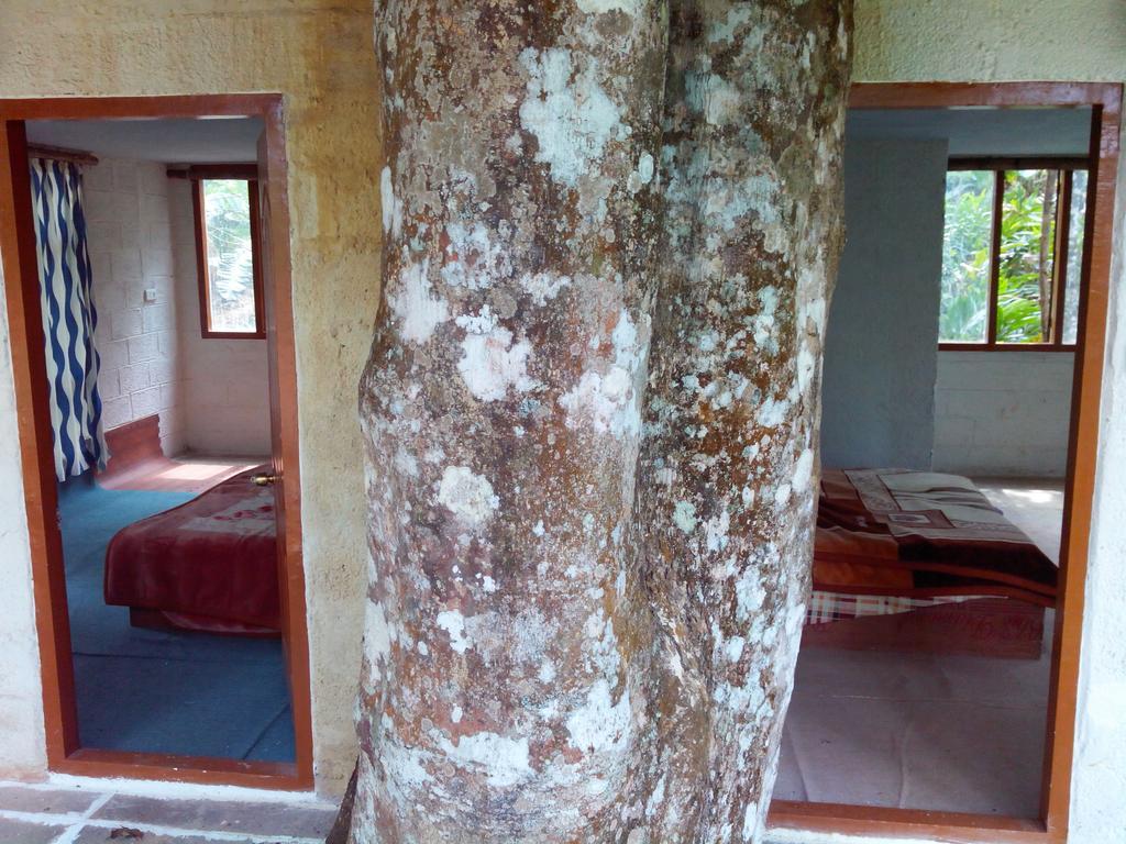 Jungle Jive Tree House Munnar