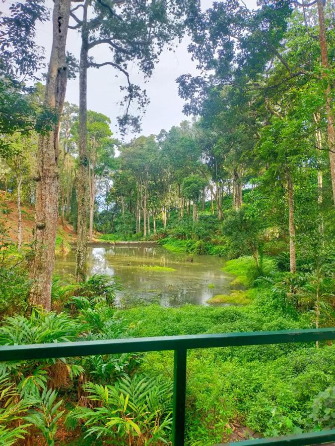 Singletree Resort, Bed & Breakfast Munnar