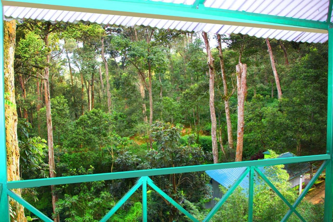 Singletree Resort, *