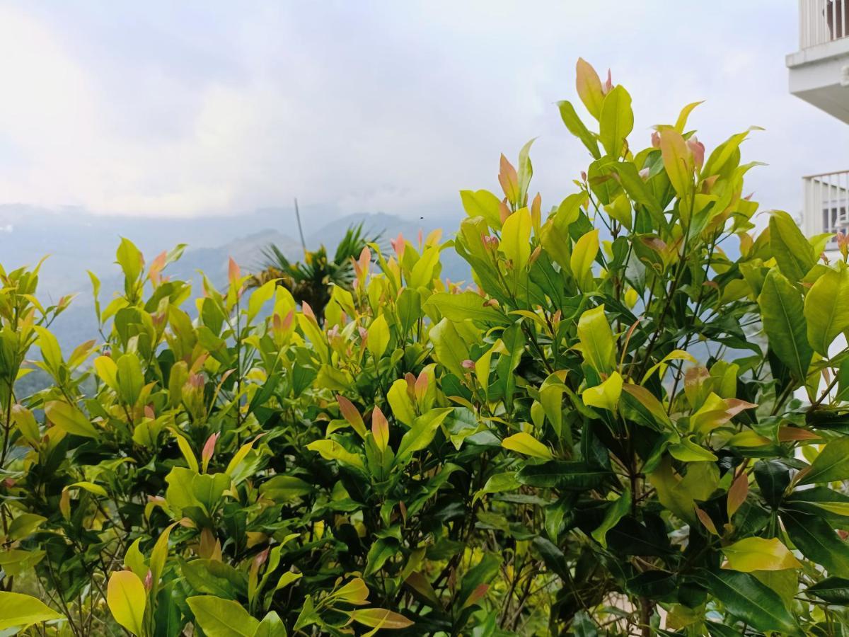 Grace Residency Munnar