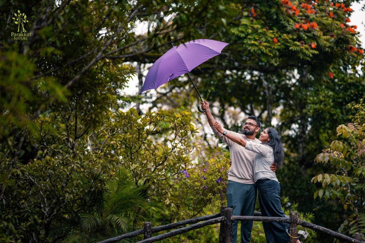 Parakkat Nature 5* Munnar