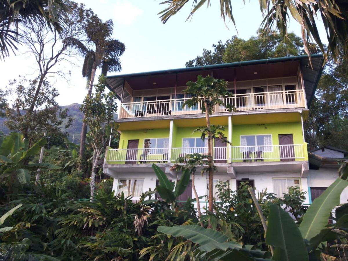 Nature Dale Budget * Munnar